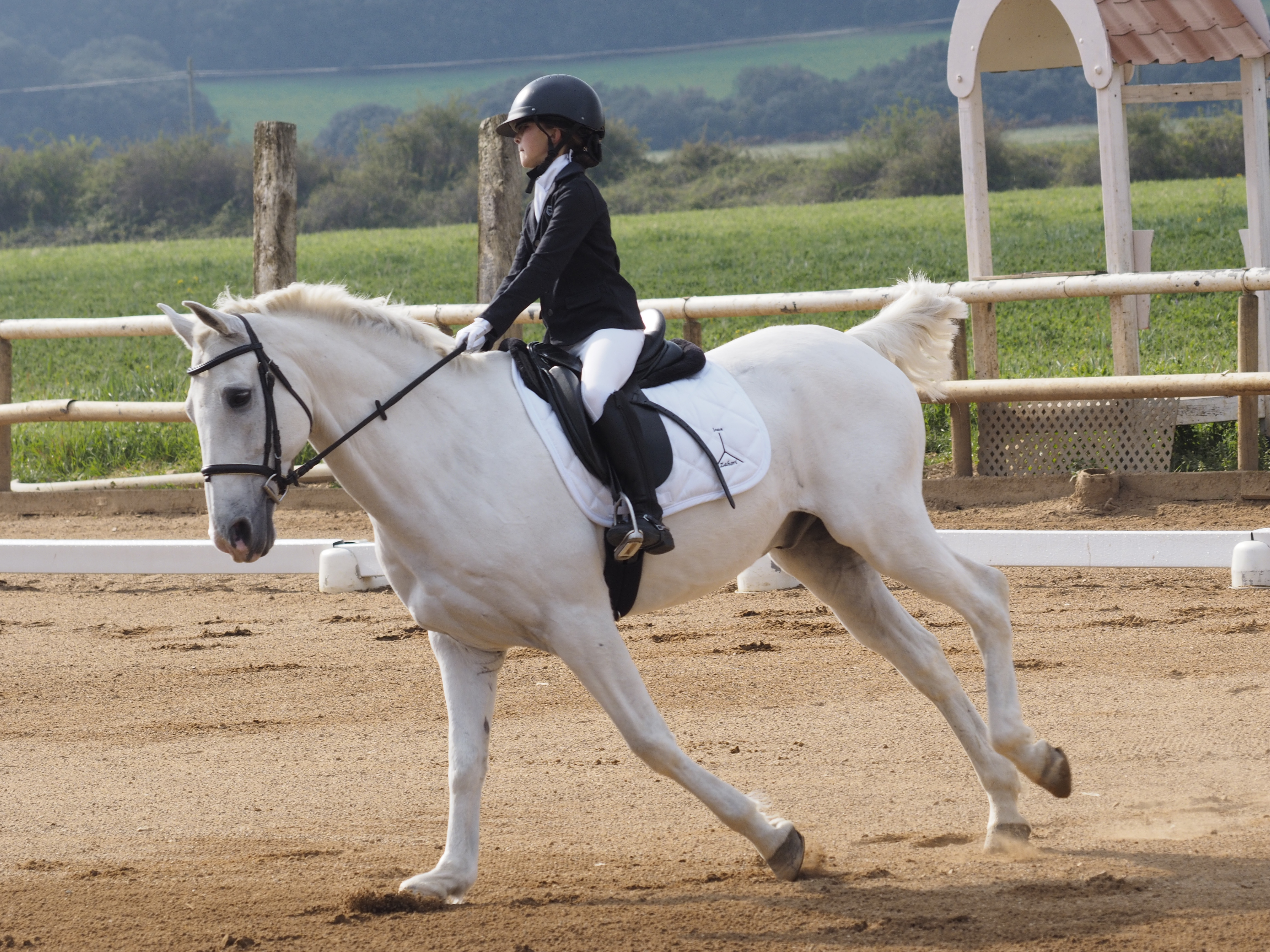 Más fotos de la Primera Fase de Doma Clásica en Acedo